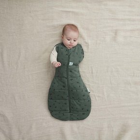 ergoPouch Otulacz Śpiworek 3-6M 2.5TOG Veggie Patch