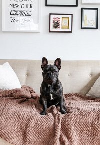 Pearhead Ramka z Odciskiem Łapy Pupil Wisząca Espresso