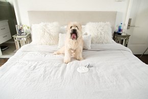 Pearhead Odcisk Łapy Pupila Zawieszka