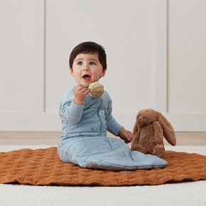 ergoPouch Śpiworek Jersey z Rękawami 8-24M 2.5TOG Dragonflies