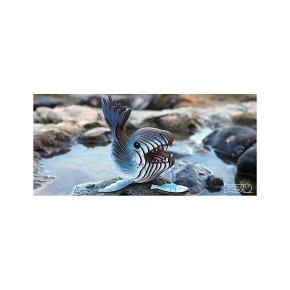 Eugy Układanka Eko 3D Lampart Morski