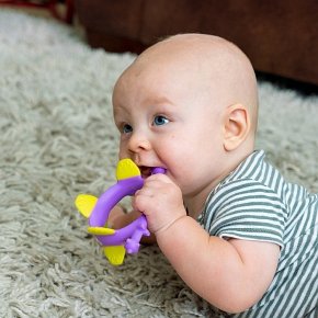 Smily Mia Gryzak Dinozaur Norman Purple