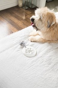 Pearhead Odcisk Łapy Pupila Zawieszka