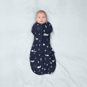 ergoPouch Otulacz Śpiworek 0-3M 1.0TOG Whale