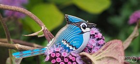 Eugy Układanka Eko 3D Ptak Modrosójka