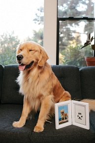 Pearhead Ramka z Atramentowym Odciskiem Łapy Pupil Stojąca White