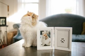 Pearhead Ramka z Atramentowym Odciskiem Łapy Pupil Stojąca White