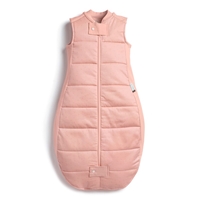 ergoPouch Śpiworek 3-12M 2.5TOG