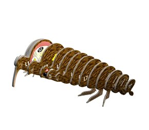 Eugy Układanka Eko 3D Brązowe Kiwi