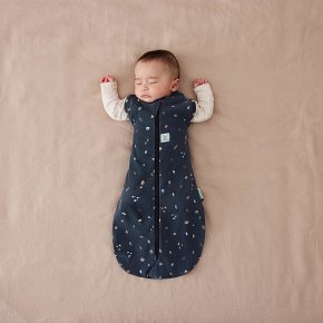 ergoPouch Otulacz Śpiworek 6-12M 1.0TOG Hedgehog