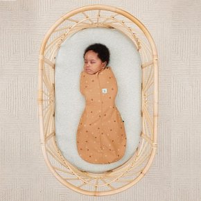 ergoPouch Otulacz Śpiworek 3-6M 1.0TOG Honey Bees