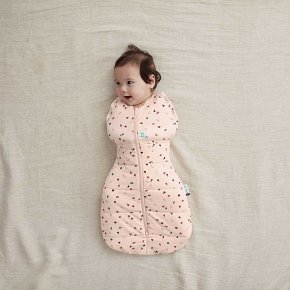 ergoPouch Otulacz Śpiworek 3-6M 2.5TOG Cute Fruit