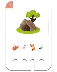 WiemTo Karty dla Dzieci 4+ Gdzie Mieszkają Zwierzęta