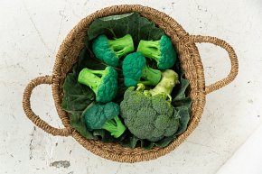 Oli & Carol Gryzak Zabawka Brokuł Brucy Broccoli