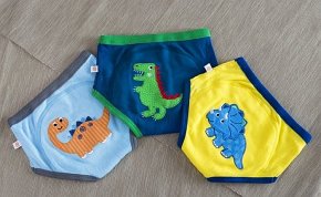 Zoocchini Majtki Treningowe Boy 2-3