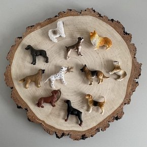 Safari Ltd. Zestaw Figurek - Psy