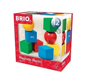 BRIO Drewniane Klocki Magnetyczne