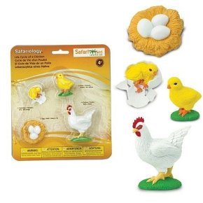 Safari Ltd. Zestaw Figurek Cykl Życia Kury