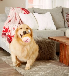 Pearhead Zabawka Dla Psa Pluszowa M.C.Hammy