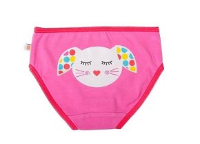 Zoocchini Majteczki Dziewczęce 5-6 lat