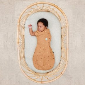 ergoPouch Otulacz Śpiworek 3-6M 1.0TOG Honey Bees