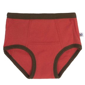 Zoocchini Majtki Treningowe Lisek 2-3 lata